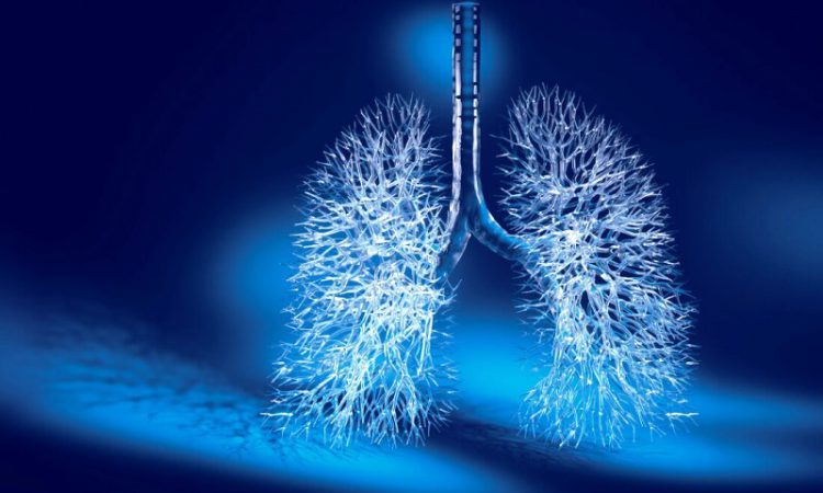 Как очистить органы дыхания в домашних условиях